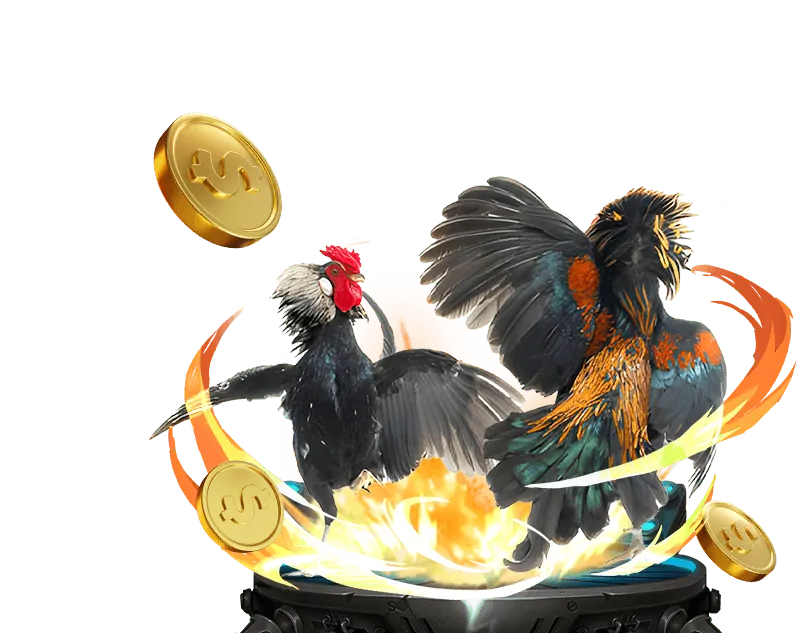 Tin tức casino keo 88 bet